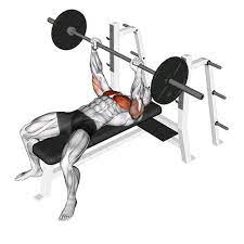 bench press