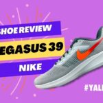 nike pegasus 39 review