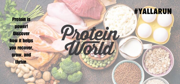 Proteins: The Building Blocks of Life Explained - YALLARUN